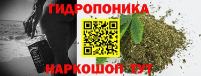 гидра Нарткала