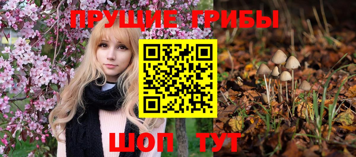 Галлюциногенные грибы мицелий Тверь