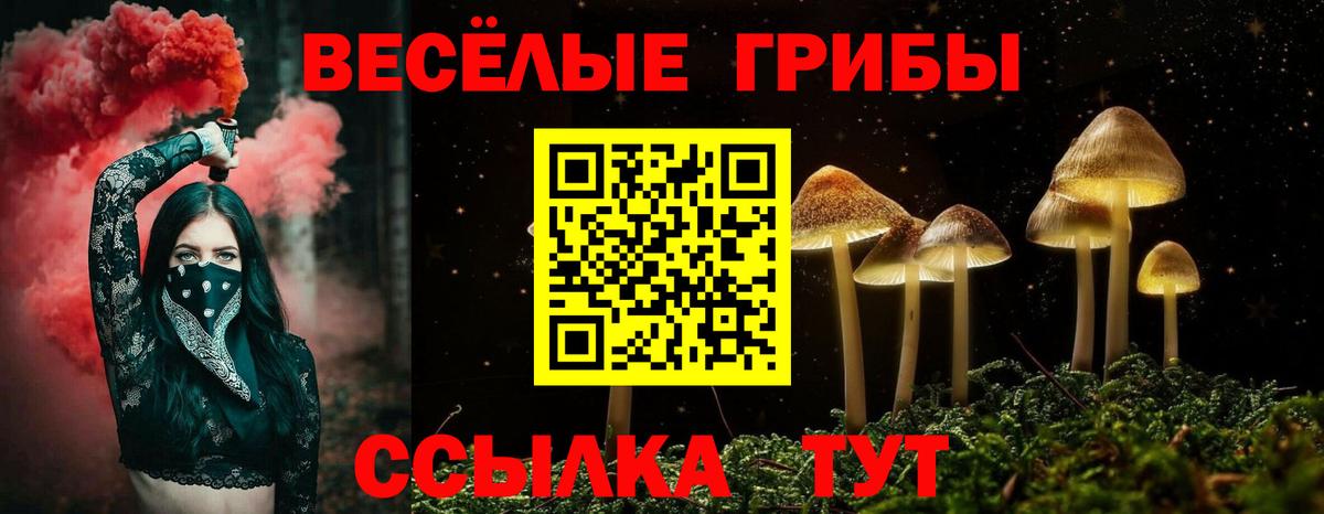 Тверь  Галлюциногенные грибы Magic Shrooms  Галлюциногенные грибы Psilocybe  Вход с VPN 